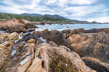Point Lobos State Natural Reserve, Carmel, Monterey County, California, United States of America