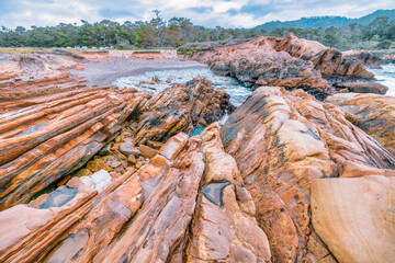Point Lobos State Natural Reserve, Carmel, Monterey County, California, United States of America