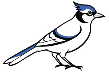 Blue Jay silhouette vector art illustration.