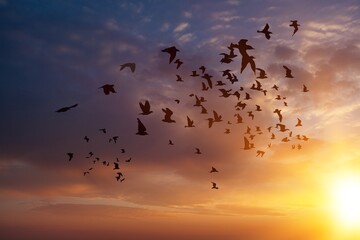 Many dark birds flying on sky background.