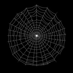 Obraz premium black and white spider web illustration