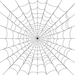 Obraz premium black and white spider web illustration