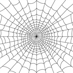 Obraz premium black and white spider web illustration