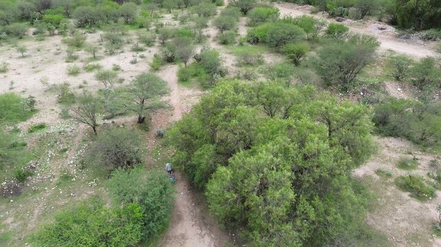 Pastorear vacas y ovejas es un arte en el que el Pastorcito es mirado con amor. sus ovejas lo escuchan. Pues bien, en este desierto con las tomas de drone la prueba que &eacute;l pastorea sus ovejas. 