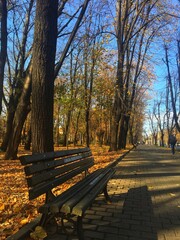 bench in autumn park