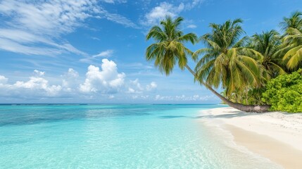 A serene tropical beach with palm trees and clear turquoise water under a bright blue sky.