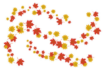 Autumn maple leaves are flying in the wind