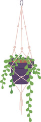 Hanging urban jungle plant icon. Room decoration