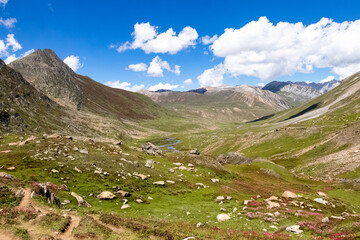 Fototapeta premium Beautiful mountain scenery. River, valley, snow, blue sky, white clouds. In-depth trip on the Sonamarg Hill Trek in Jammu and Kashmir, India