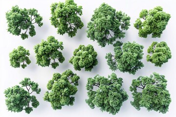 Obraz premium Bird's-eye view of a serene group of green trees on a transparent background.