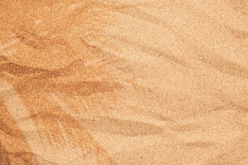 Beige soft Beach Sand with palm leaf shadow