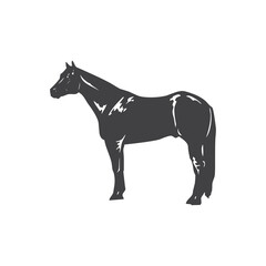 Horse glyph. Horse icon. Horse logo. Horse silhouette