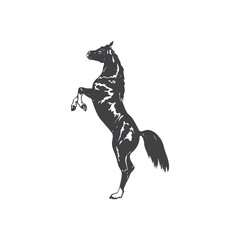 Horse glyph. Horse icon. Horse logo. Horse silhouette
