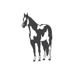 Horse glyph. Horse icon. Horse logo. Horse silhouette