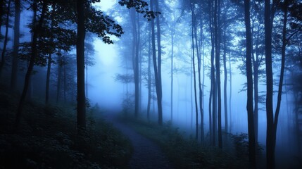 Obraz premium A serene, misty forest path surrounded by tall trees, evoking a sense of tranquility.