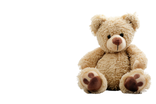 Assorted Teddy Bears in Different Colors