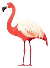 Obraz premium PNG Flamingo animal bird spoonbill.