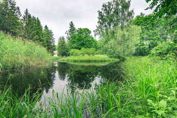 A pond with trees in the background