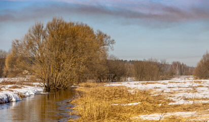 A tree with yellow leaves stands next to a river
