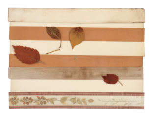 PNG Autumn backgrounds plant leaf.