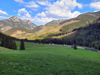 landscape in the mountains,  dolina Chocholowska © Yuliana