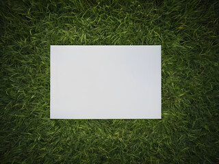 green grass on a white background mock up