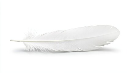 Obraz premium White Feather, Isolated On White Background, Suitable For Lightness And Purity-Themed Designs . Generative ai