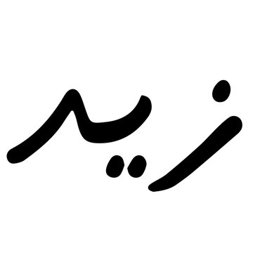 Hand drawn Calligraphy of Name 'Zaid' on Transparent Background
