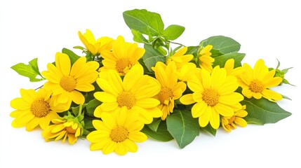 Yellow Flowers With Green Leaves, Isolated On White Background, Ideal For Floral And Botanical Themes . Generative ai