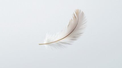 Obraz premium Close-up of a single white feather floating against a minimalist pale background, showcasing delicate textures and fine details.