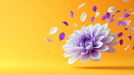Obraz premium Beautiful fresh white and purple Dahlia flower falling in the air isolated on yellow background Levitation or zero gravity conception High resolution image : Generative AI