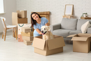 Fototapeta premium Young happy woman and cute Labrador dog with boxes on moving day sitting at home