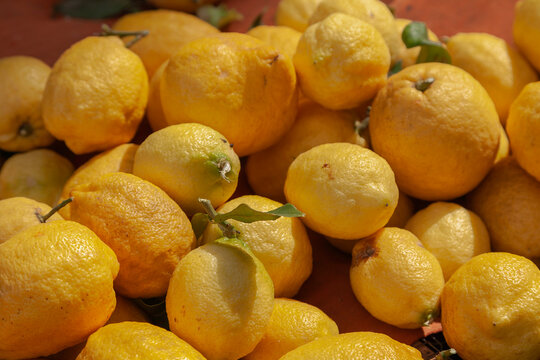 Zitronen (Citrus &times; limon), Marktverkauf