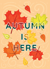 Colorful autumn leaves with berries background design Vector