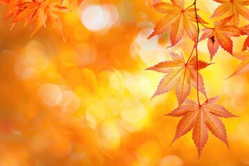 A detailed view of tree leaves, suitable for nature and outdoor themed projects