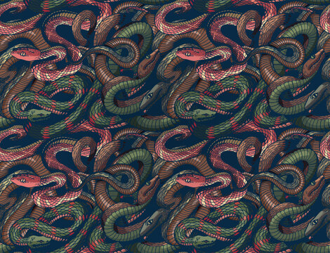 seamless snake pattern. Vector illustration