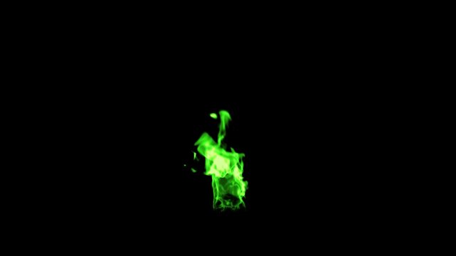 Fire Torch 01 Loop Green HD
