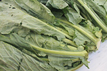 Green cabbage on a wooden table

