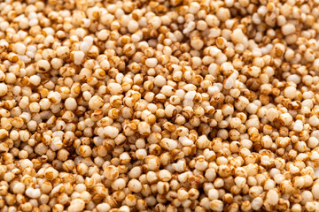 Amaranth popping, gluten free, grain cereal - Amaranthus.