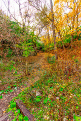 Indian Village Canyon in Autumn, Duranceau Park, Columbus, Ohio