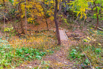 Indian Village Canyon in Autumn, Duranceau Park, Columbus, Ohio