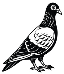  Bird Illustration, silhouette, vector