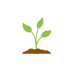 illustration of plant growth