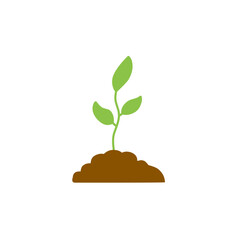 illustration of plant growth