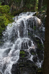 white waterfall over moss cover rocks in the Pacific Northwest on Mount Hood