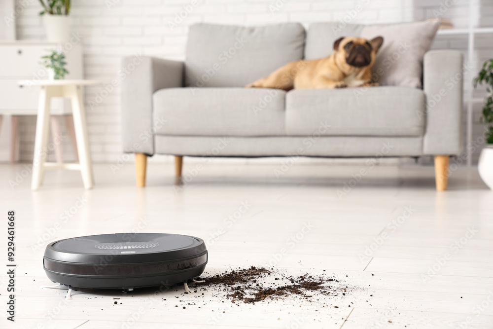 Sticker Robot vacuum cleaner cleaning scattered soil after cute french bulldog at home