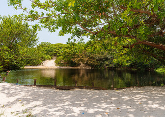 Lagoa da Princesa em Algodoal no Pará