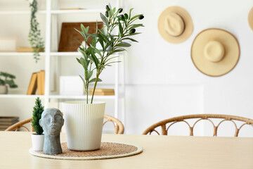 Plants with decor on dining table in room