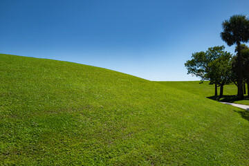 Green grass field. Green grassy field. Grassy pasture landscape background. Wide green grass field. Grassland for background. Nature landscape background. Green grass field and blue sky.