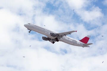 Beautiful airplane in the blue sky background